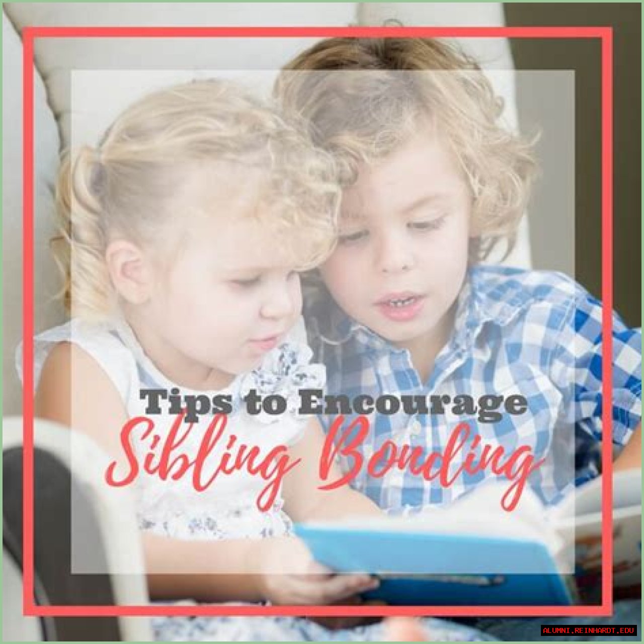 Exploring Privacy And Sibling Bonds
