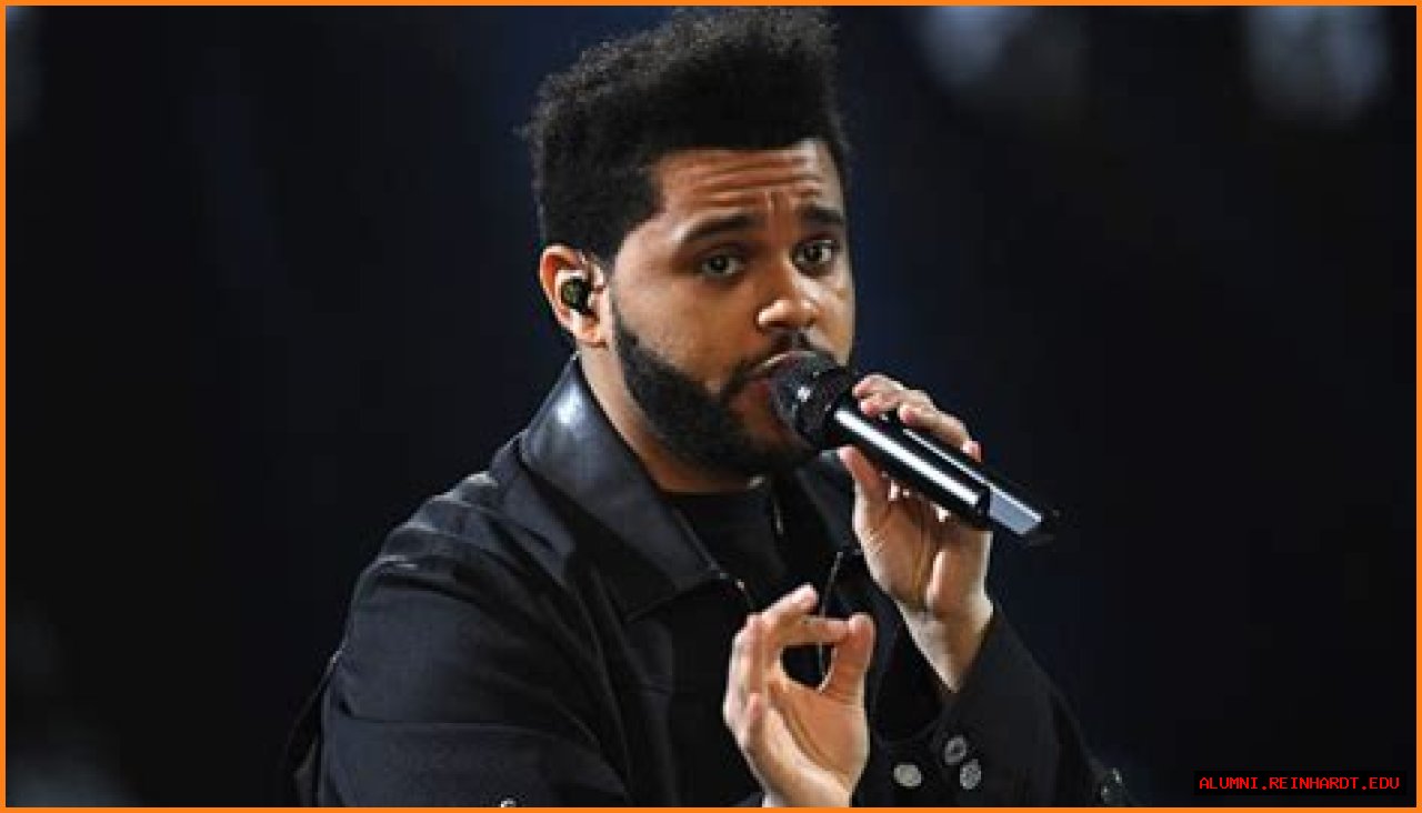 Exploring The Intriguing World Of 'navs Net Worth'